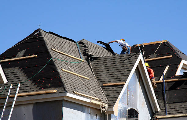 Best Commercial Roofing Services  in Lake Vla, IL