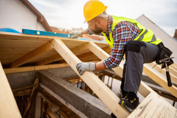 Best Flat Roof Repair Services  in Lake Vla, IL